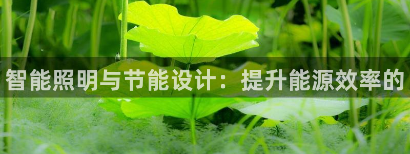 智能照明与节能设计：提升能源效率的
