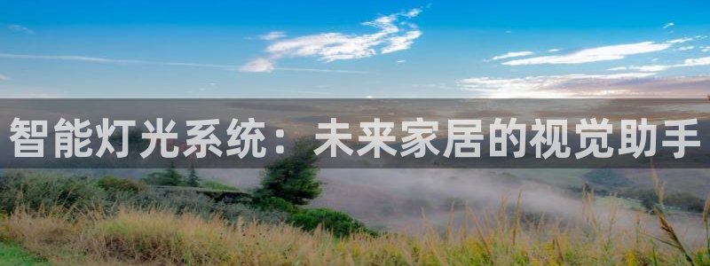 智能灯光系统：未来家居的视觉助手