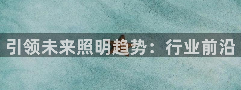 引领未来照明趋势：行业前沿