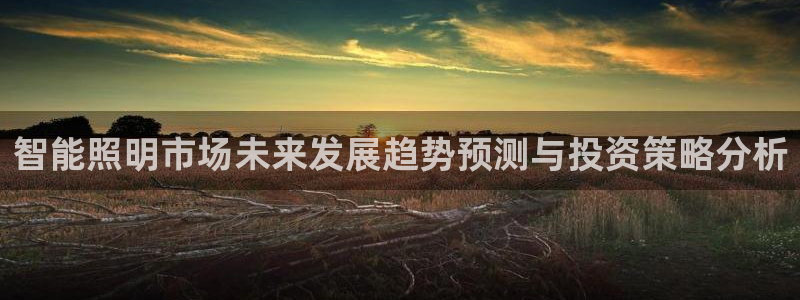 智能照明市场未来发展趋势预测与投资策略分析