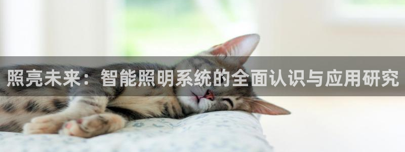 照亮未来：智能照明系统的全面认识与应用研究