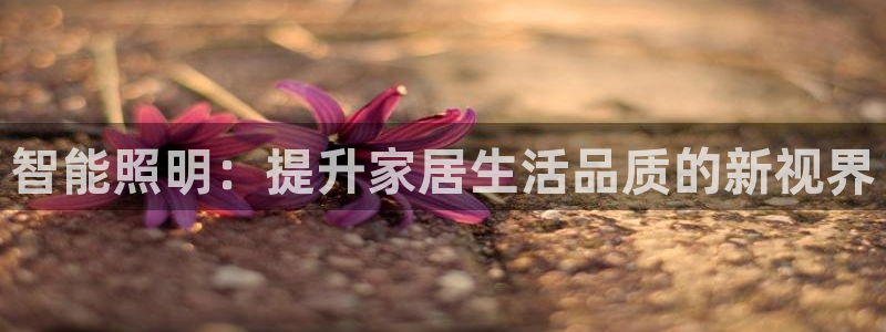 智能照明：提升家居生活品质的新视界