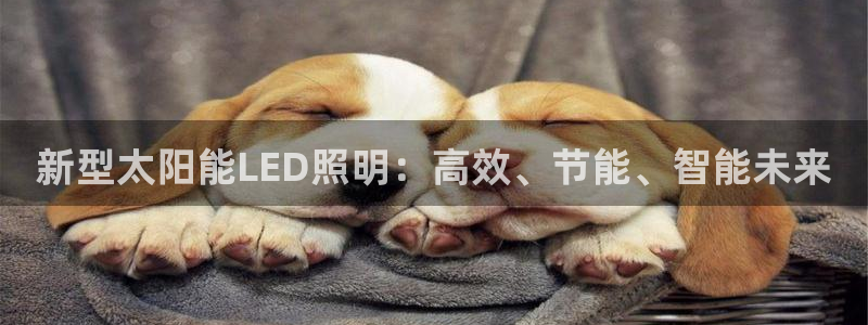新型太阳能LED照明：高效、节能、智能未来