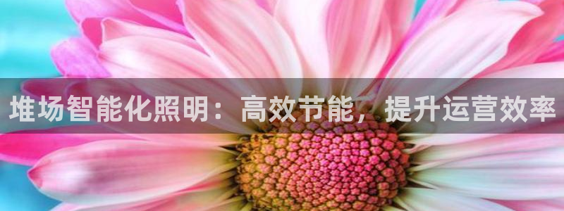 堆场智能化照明：高效节能，提升运营效率