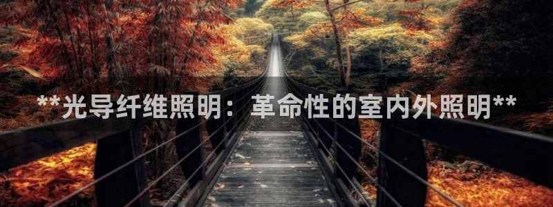 **光导纤维照明：革命性的室内外照明**