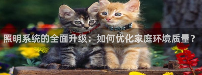 照明系统的全面升级：如何优化家庭环境质量？