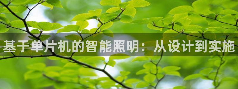 基于单片机的智能照明：从设计到实施