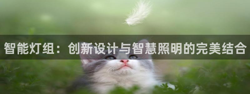智能灯组：创新设计与智慧照明的完美结合