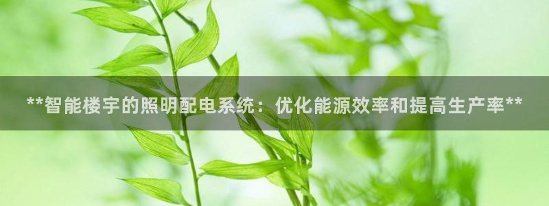 **智能楼宇的照明配电系统：优化能源效率和提高生产率**