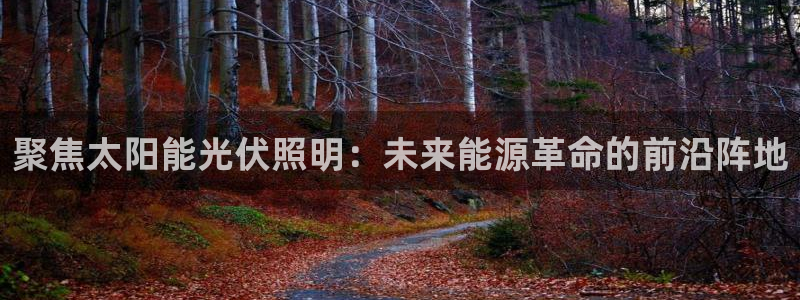 聚焦太阳能光伏照明：未来能源革命的前沿阵地