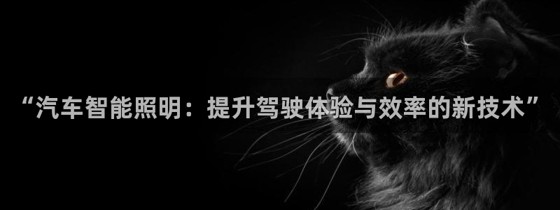 “汽车智能照明：提升驾驶体验与效率的新技术”