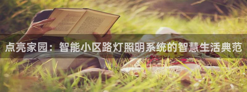 点亮家园：智能小区路灯照明系统的智慧生活典范