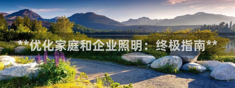 **优化家庭和企业照明：终极指南**