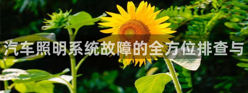 汽车照明系统故障的全方位排查与