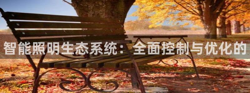 智能照明生态系统：全面控制与优化的