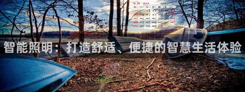 智能照明：打造舒适、便捷的智慧生活体验