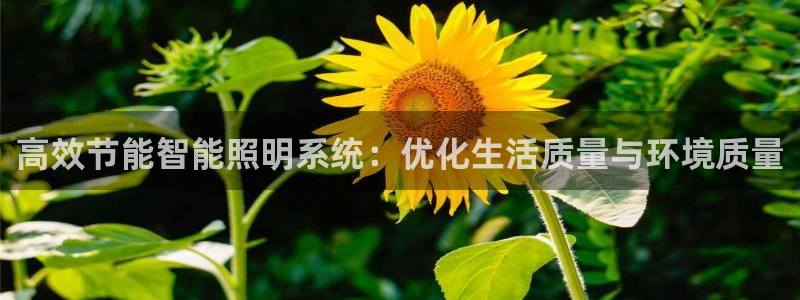 高效节能智能照明系统：优化生活质量与环境