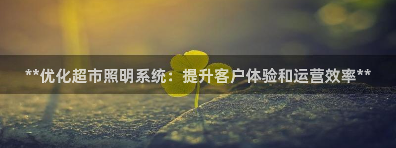 **优化超市照明系统：提升客户体验和运营效率**