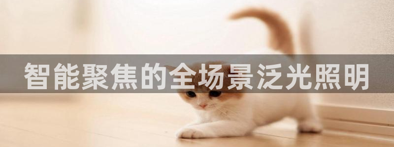 智能聚焦的全场景泛光照明