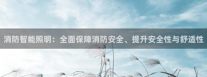 消防智能照明：全面保障消防安全、提升安全