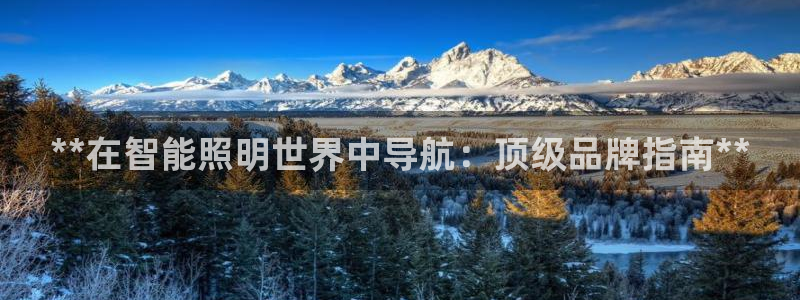 **在智能照明世界中导航：顶级品牌指南**