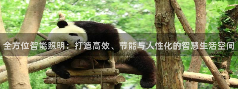 全方位智能照明：打造高效、节能与人性化的智慧生活空间