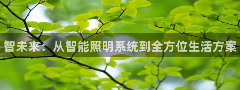 智未来：从智能照明系统到全方位生活方案