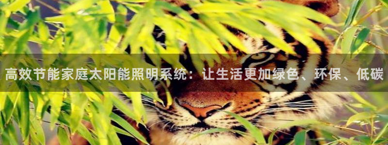 高效节能家庭太阳能照明系统：让生活更加绿色、环保、低碳