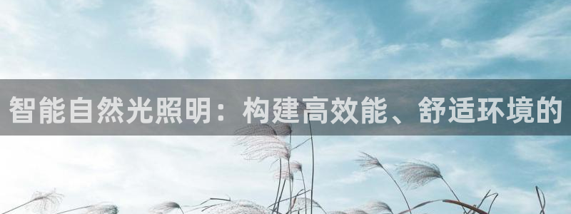 智能自然光照明：构建高效能、舒适环境的