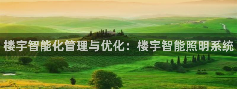 楼宇智能化管理与优化：楼宇智能照明系统