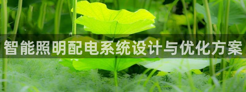 智能照明配电系统设计与优化方案