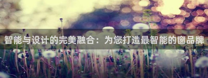 智能与设计的完美融合:为您打造最智能的窗