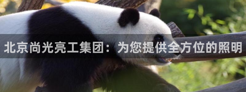 北京尚光亮工集团：为您提供全方位的照明