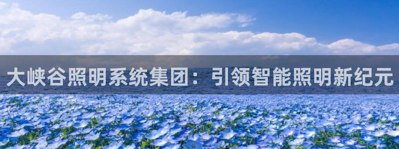 大峡谷照明系统集团：引领智能照明新纪元