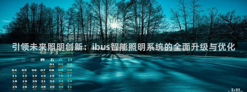 引领未来照明创新:ibus智能照明系统的