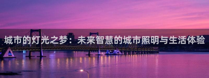 城市的灯光之梦：未来智慧的城市照明与生活