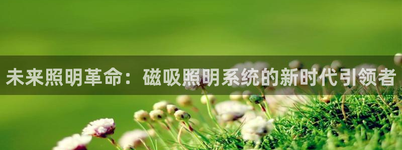 未来照明革命：磁吸照明系统的新时代引领者